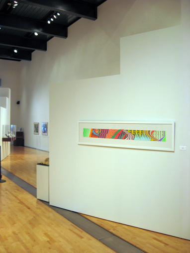 Grant Wiggins in Tempe Center for the Arts Biennial 2008